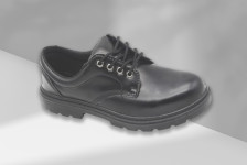 Safety Shoes- Office Collection